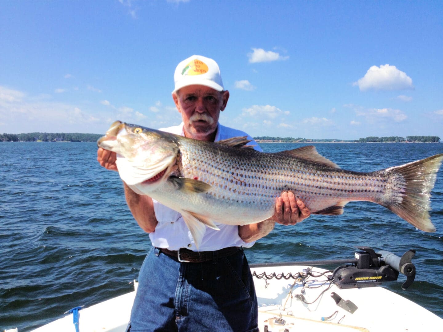 Elderly fisherman displaying trophy striped bass