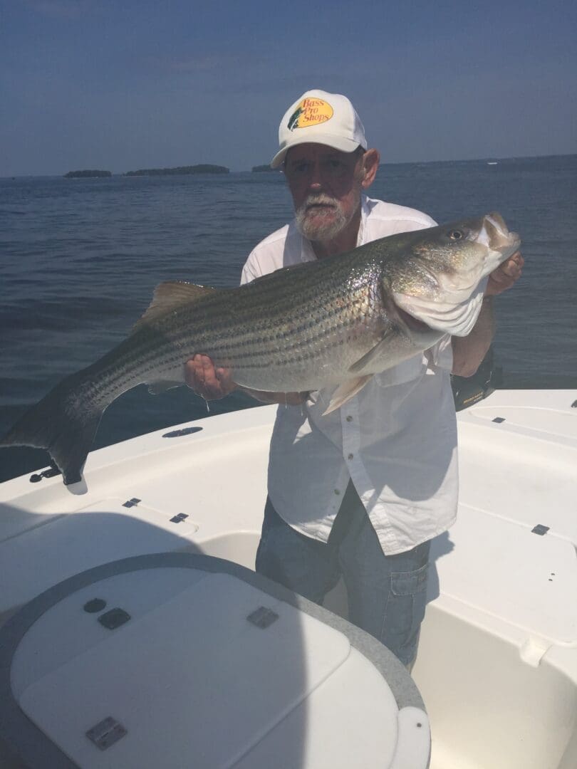 Man wearing Bass Pro hat holding striped bass