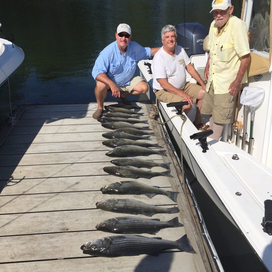 Three men on a boat with fish in the water.